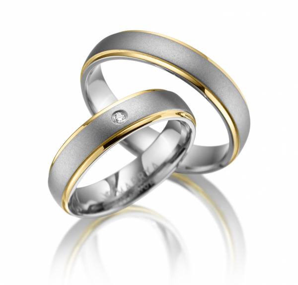 2 Trauringe / Eheringe Titan - Modell TI-11
